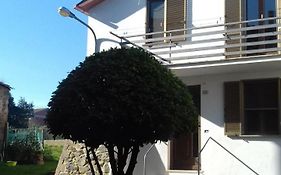 Casa Galli
